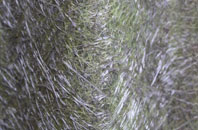 Rinsey Croft fibreglass roof work